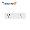 TransmeIoT TM-MP-US04A(2+2USB) Mini Smart Plug, WiFi Outlet Socket Compatible with Alexa And Google Home, Remote Control with Timer Function, No Hub Required